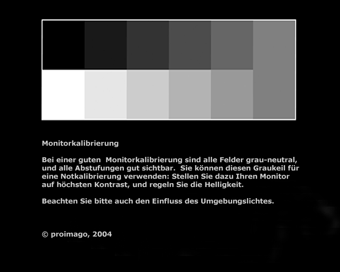 Monitor Testbild